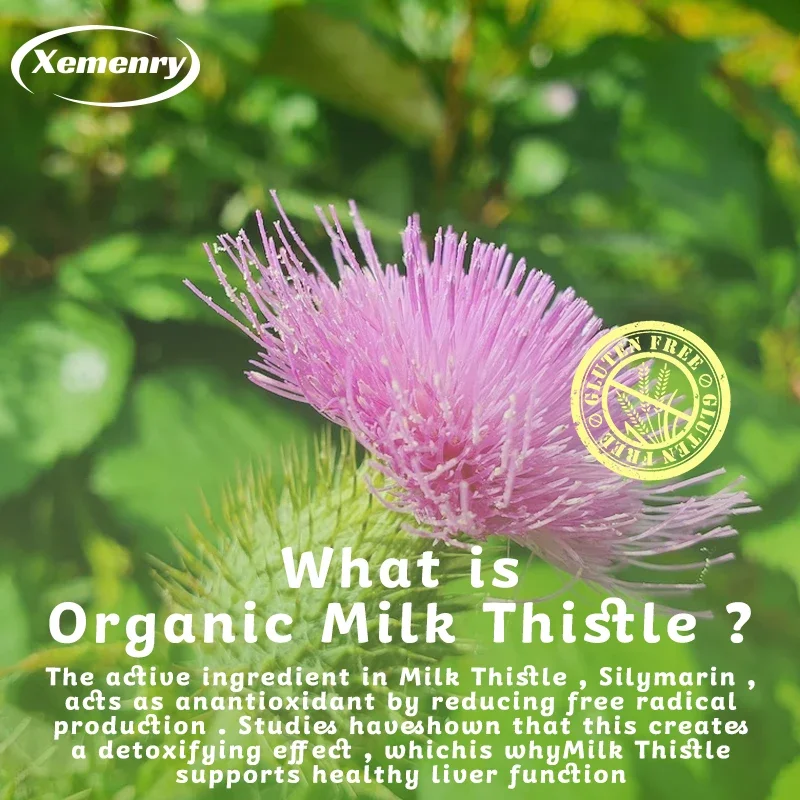 Cápsulas de cardo mariano 1000 - Milk Thistle Silymarin reseña y precio