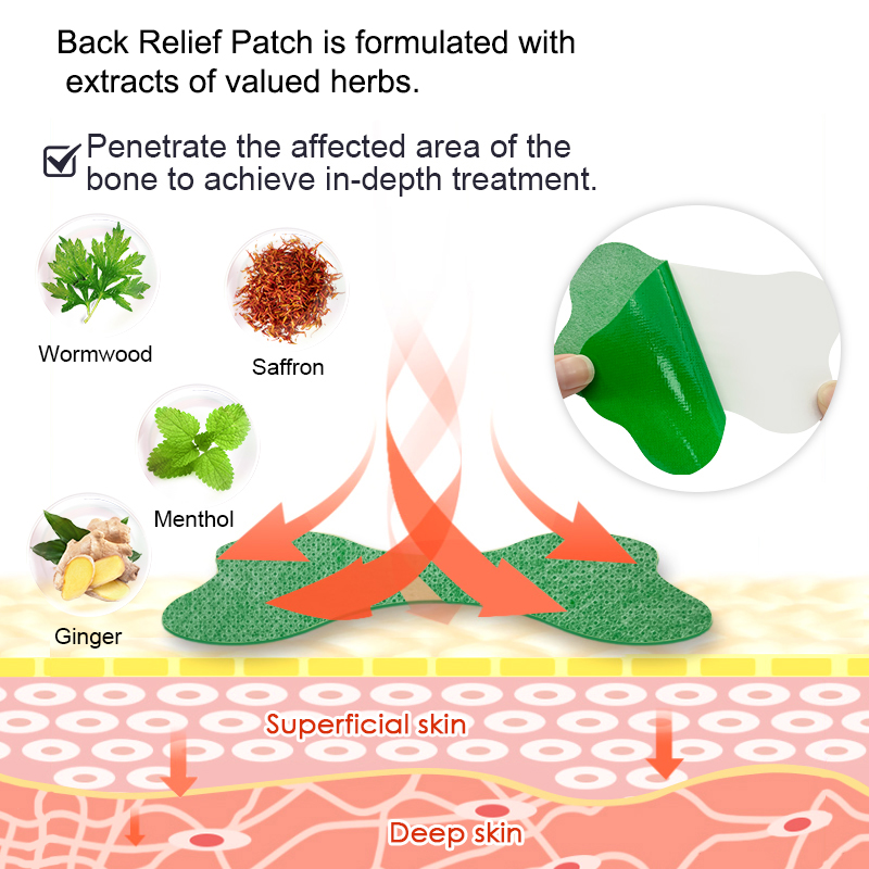 Parche para el dolor Lumbar, y - Herbal Zone reseña y precio
