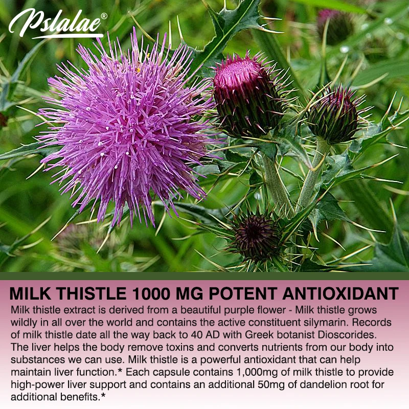 Suplemento natural de cardo ma - Milk Thistle Silymarin reseña y precio